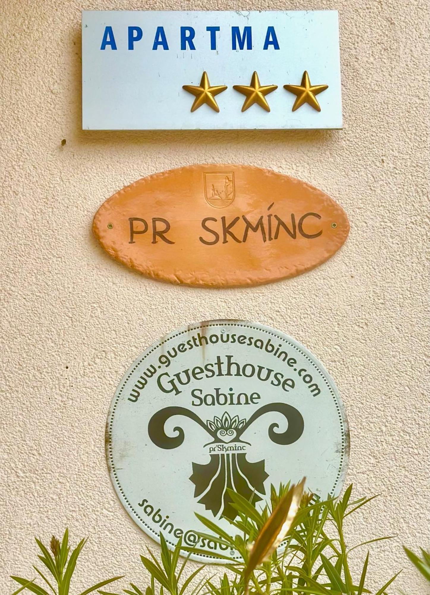 Guesthouse Sabine - Pr' Skminc Bohinjska Bela Exterior foto